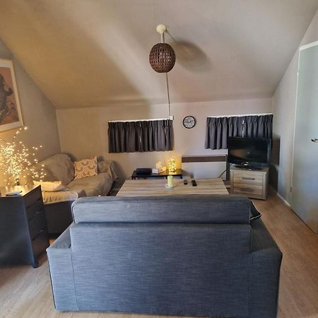 Mon Chalet En Ariege Avec Piscine Daumazan-sur-Arize 外观 照片