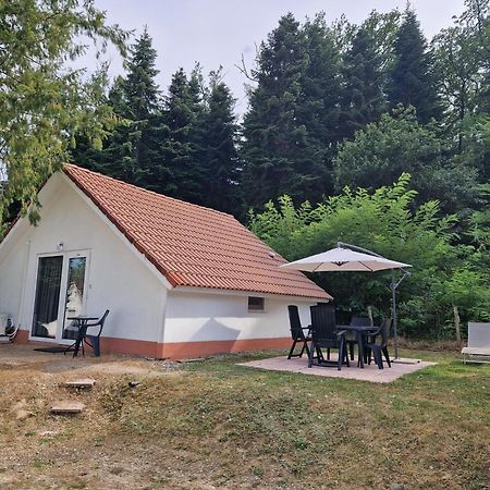 Mon Chalet En Ariege Avec Piscine Daumazan-sur-Arize 外观 照片