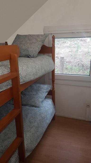 Mon Chalet En Ariege Avec Piscine Daumazan-sur-Arize 外观 照片