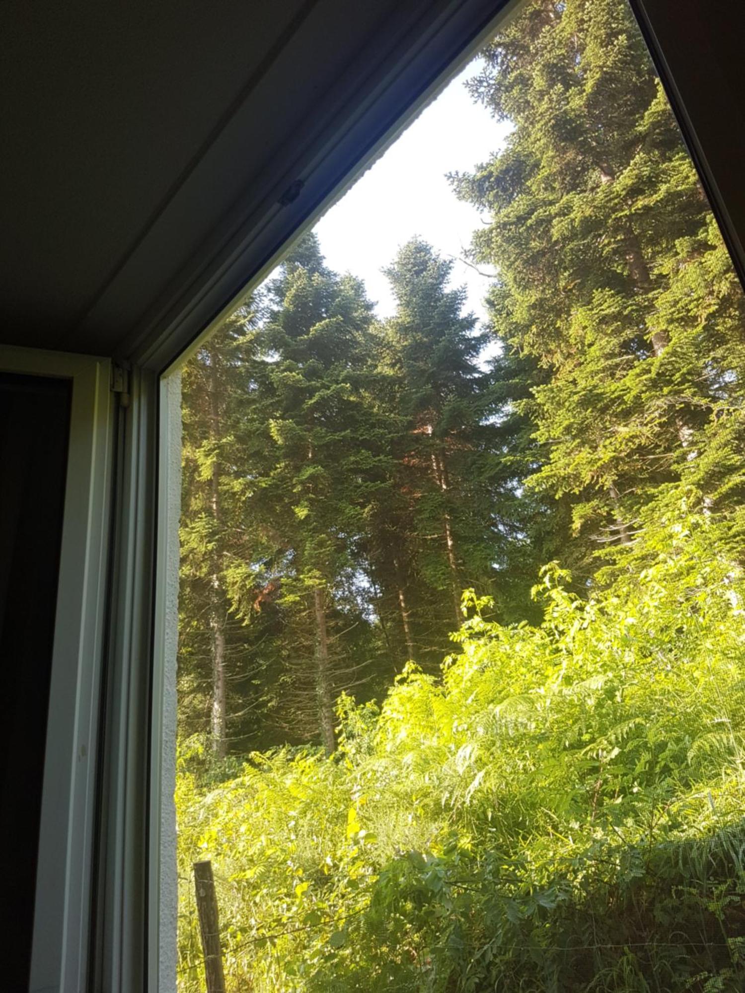 Mon Chalet En Ariege Avec Piscine Daumazan-sur-Arize 外观 照片