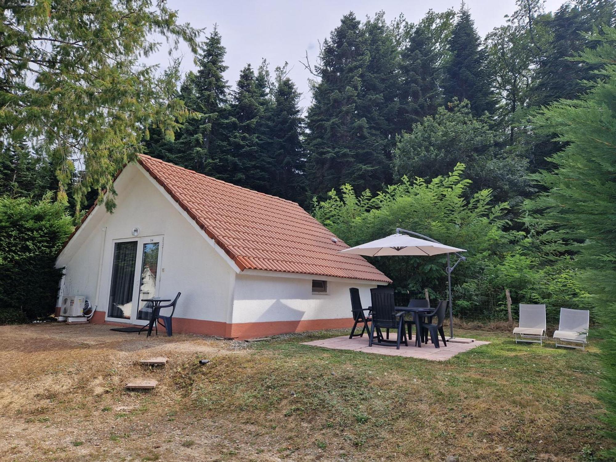 Mon Chalet En Ariege Avec Piscine Daumazan-sur-Arize 外观 照片