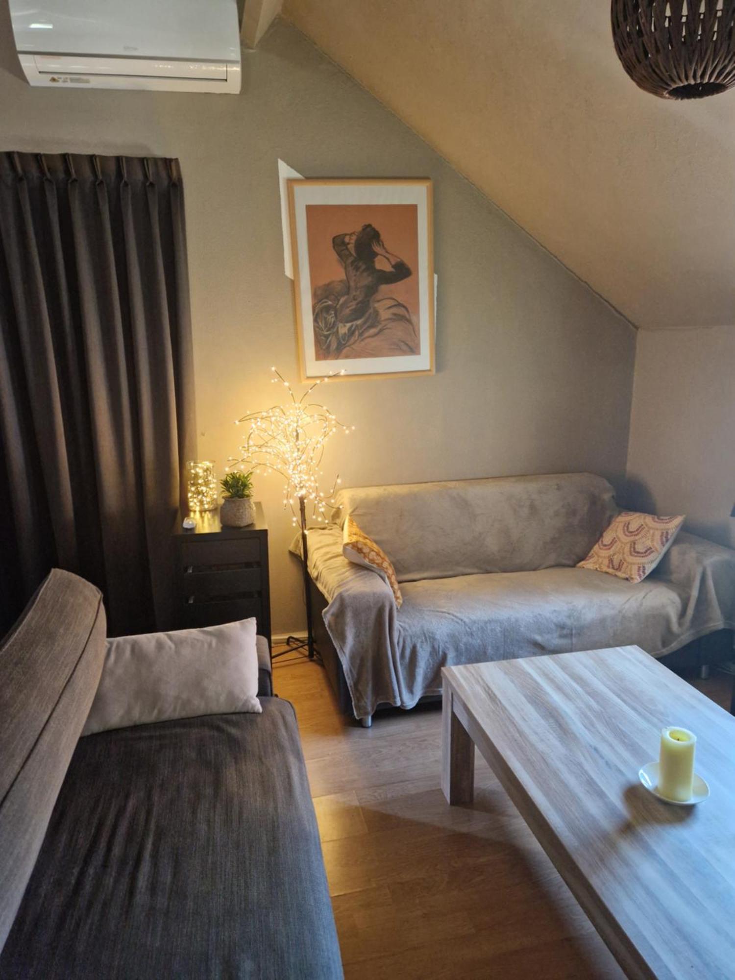 Mon Chalet En Ariege Avec Piscine Daumazan-sur-Arize 外观 照片